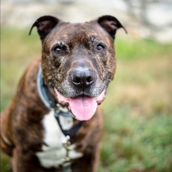 Meet your Posher, Suzanne - Picture 2 of 2